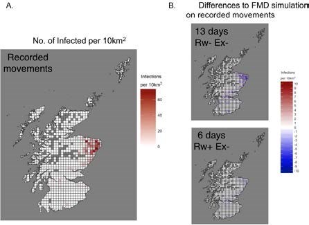 Figure 3. A. Number of infections per 10km2 for FMD simulation on the originally recorded cattle and sheep movements. B. Differences between the FMD simulations on recorded movements and the rewired ‘ideal’ scenario (13 days Rw- Ex-, top right) and the rewired ‘England / Wales – scenario’ (Rw+ Ex-, bottom right).