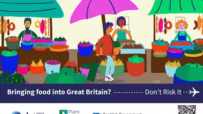 Front of animation postcard. A man walks through a market.