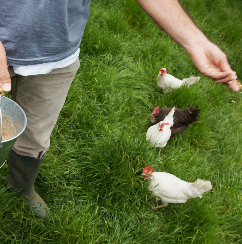 Adobestock 310915524