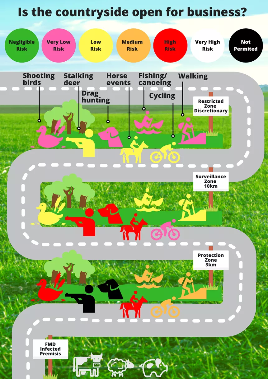 FMD Veterinary Risk Assessment Infographic Poster