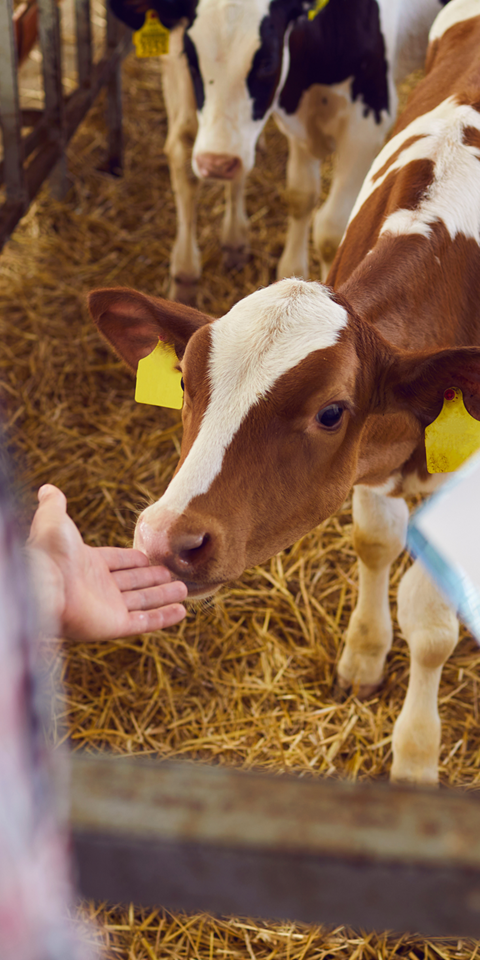 Adobestock 391952913