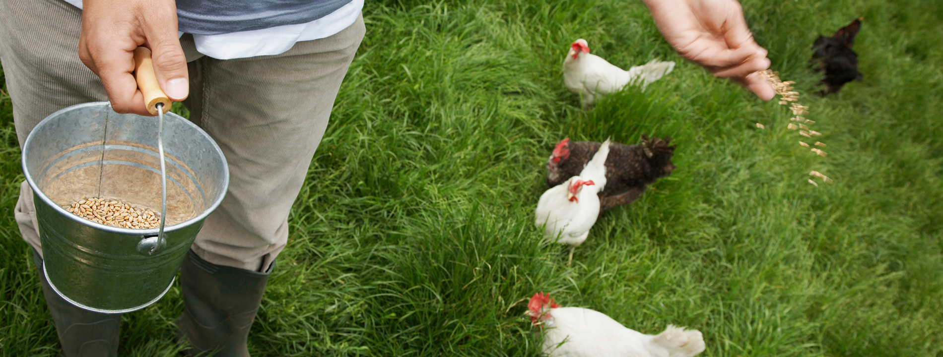 Adobestock 310915524