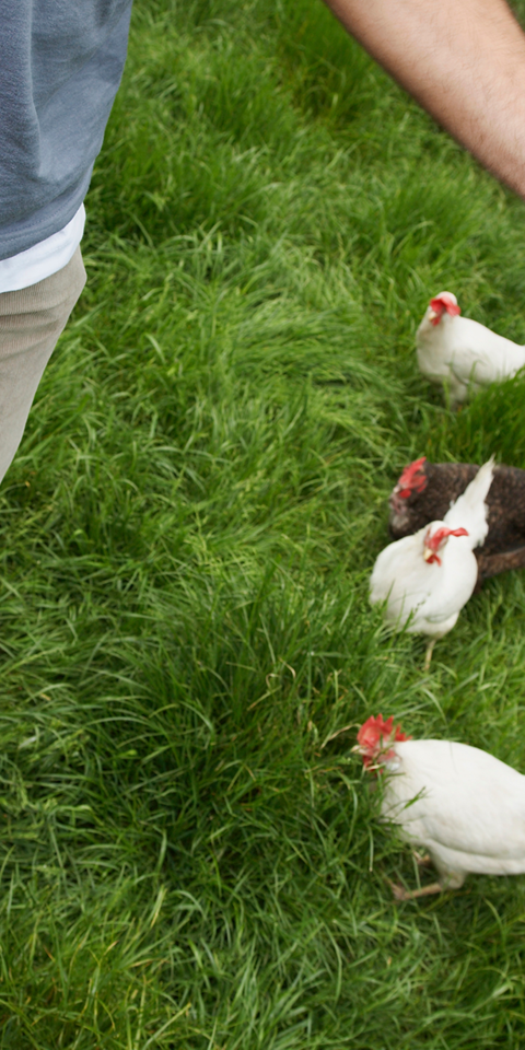 Adobestock 310915524