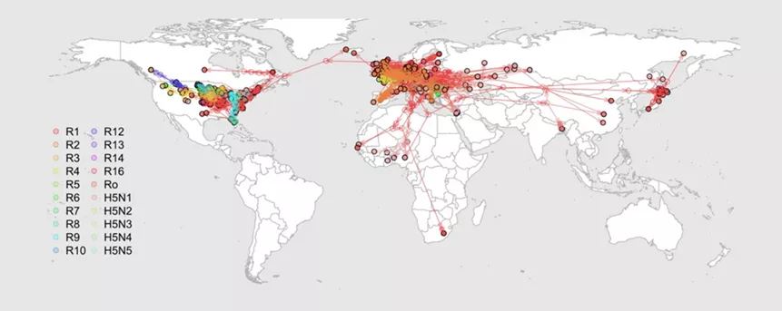 Figure 2. A Global Picture of H5N1 Variants