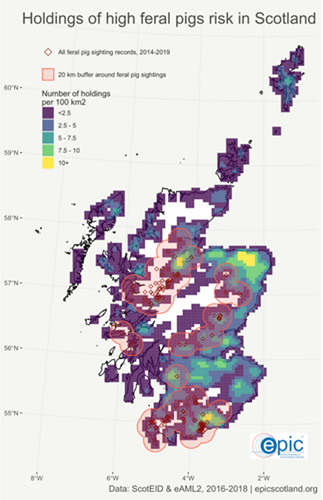 Figure 1: Maps showing areas of high risk of contact with feral pigs