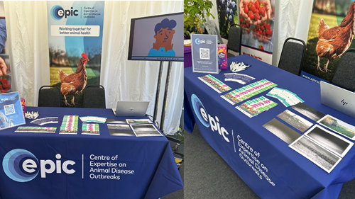 EPIC Royal Highland Show Stand 2025