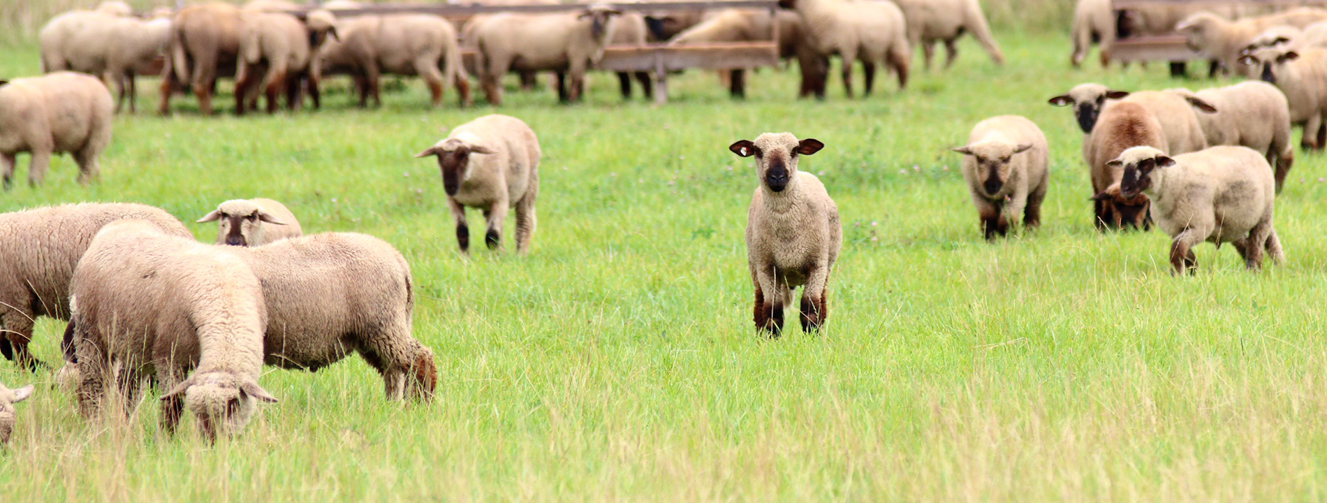 Adobestock 122307412