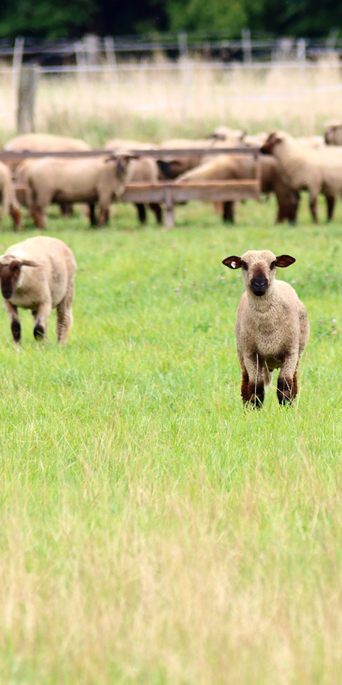 Adobestock 122307412